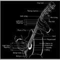 Classical Guitar Parts-2
