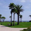 該渡假村採開放空間設計，外來遊客亦可免費自由遊覽鄰近之海灘，以及使用棕梠與椰樹林立的野餐區。