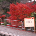 箱根之秋2010 - 1