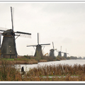 鹿特丹  小孩堤防風車