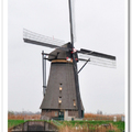 鹿特丹  小孩堤防風車