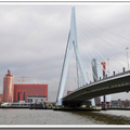 鹿特丹  天鵝橋