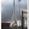 鹿特丹  天鵝橋