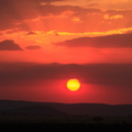 the sunset of Serengeti, Tanzania, Africa