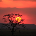 非洲令人驚艷的夕陽, Serengeti