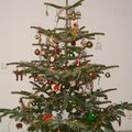 2008 聖誕樹裝飾