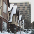 2011年1月28日晚間美東時間飛抵紐約適逢前兩天大雪
積雪尚未溶化
