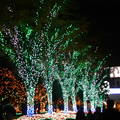 2006東京的耶誕季節---新宿 - 5