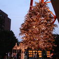 2006東京的耶誕季節---東京塔 - 2