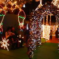 2006東京的耶誕季節---東京塔 - 4