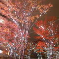 2006東京的耶誕季節---六本木 - 3
