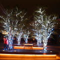 2006東京的耶誕季節---六本木 - 5