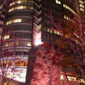 2006東京的耶誕季節---六本木 - 1