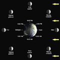 Lunar-Phase-Diagram月相變化圖