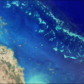 澳洲大堡珊瑚礁(Great Barrier Reef)逐漸死亡
