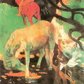 
Paul Gauguin(1848~1903)
The White Horse    1898
140*91.5