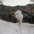 韓國-初雪是戀人的季節 - 1