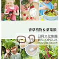DIY親子餐桌：栽種、採收、料理的親密時光_內圖