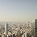 在東京，也很少看到像華府的林蔭大道。這是從東京鐵塔往下拍的。