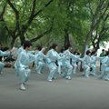 2006春與秋,北京紫竹院習拳 - 4