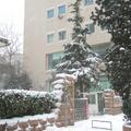 北京的冬2010大雪 - 2