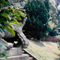 桃園神社庭園中原有兩對石獅子，現存一對，立在中門前第一段階梯上平台兩旁的草地；公母皆開口，和台灣傳統寺廟的祥獅雷同。