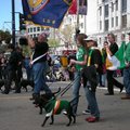 St. Patrick's Day Parade 2008 - 1