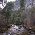 Yosemite 2008 - 4