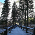 Yosemite 2008 - 5