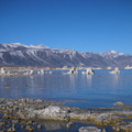 Mono Lake, CA 2009 - 5