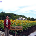0925富良野富田花園農場