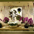 2011台北蘭花節