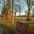 一對朋友帶去的Trent Park,
正在融雪的公園長椅, 加上黃昏餘暉, 蕭條的大樹,
組合成美麗的景象,
若不能感受它的美, 
非關美景,
只能怪小弟拍的技術不佳了...