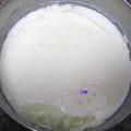 用酒釀做出來的優格乳 Lees-yogurt.090430