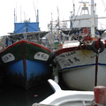 富基漁港的漁船