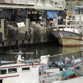 富基漁港的舊漁市