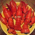Lobster - 3
