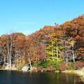 Autumn - Seven Lakes - 5