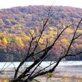Autumn - Seven Lakes - 3