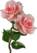 浪漫的玫瑰花
