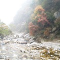 2010.10.24-太平國家森林公園 - 4