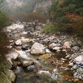 2010.10.24-太平國家森林公園 - 5