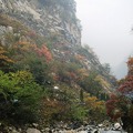2010.10.24-太平國家森林公園 - 1