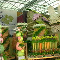 2011台灣國際蘭展(台糖烏樹林園區)