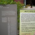 參訪韓國華嚴之旅 - 2