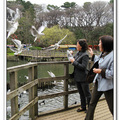 洗足池公園 - 洗足池 - 日本