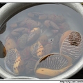 下龍灣-水上漁村賣的椰子螺