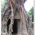 1. 達松廟-被巨樹包圍的門廊