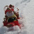 Reindeer 2009 - 2