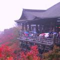 川端康成名著古都的場景清水寺，是京都必遊之地，這是拍照最佳角度